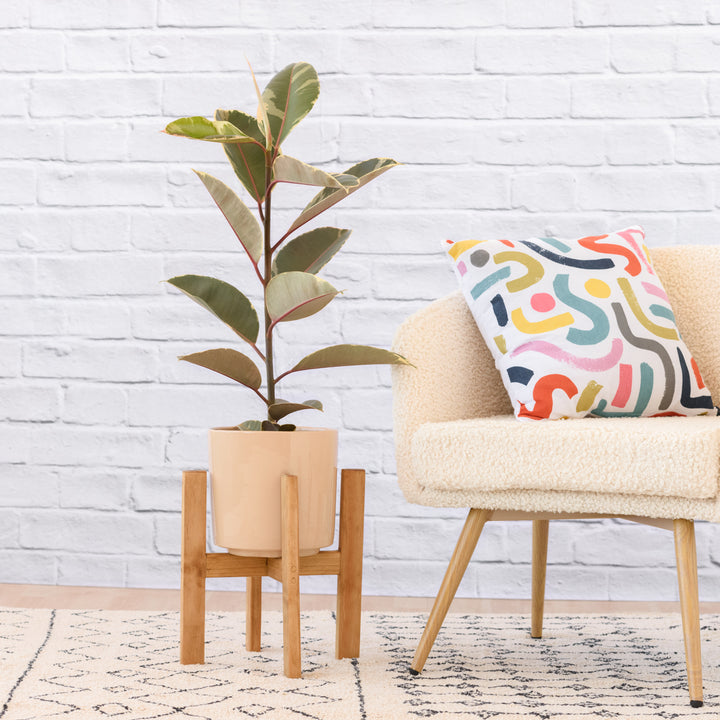 Wooden Plant Stand - Shop Online!