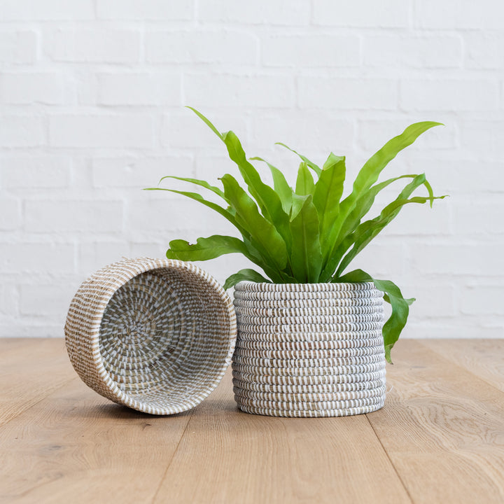 Senegalese Basket - Shop Online!