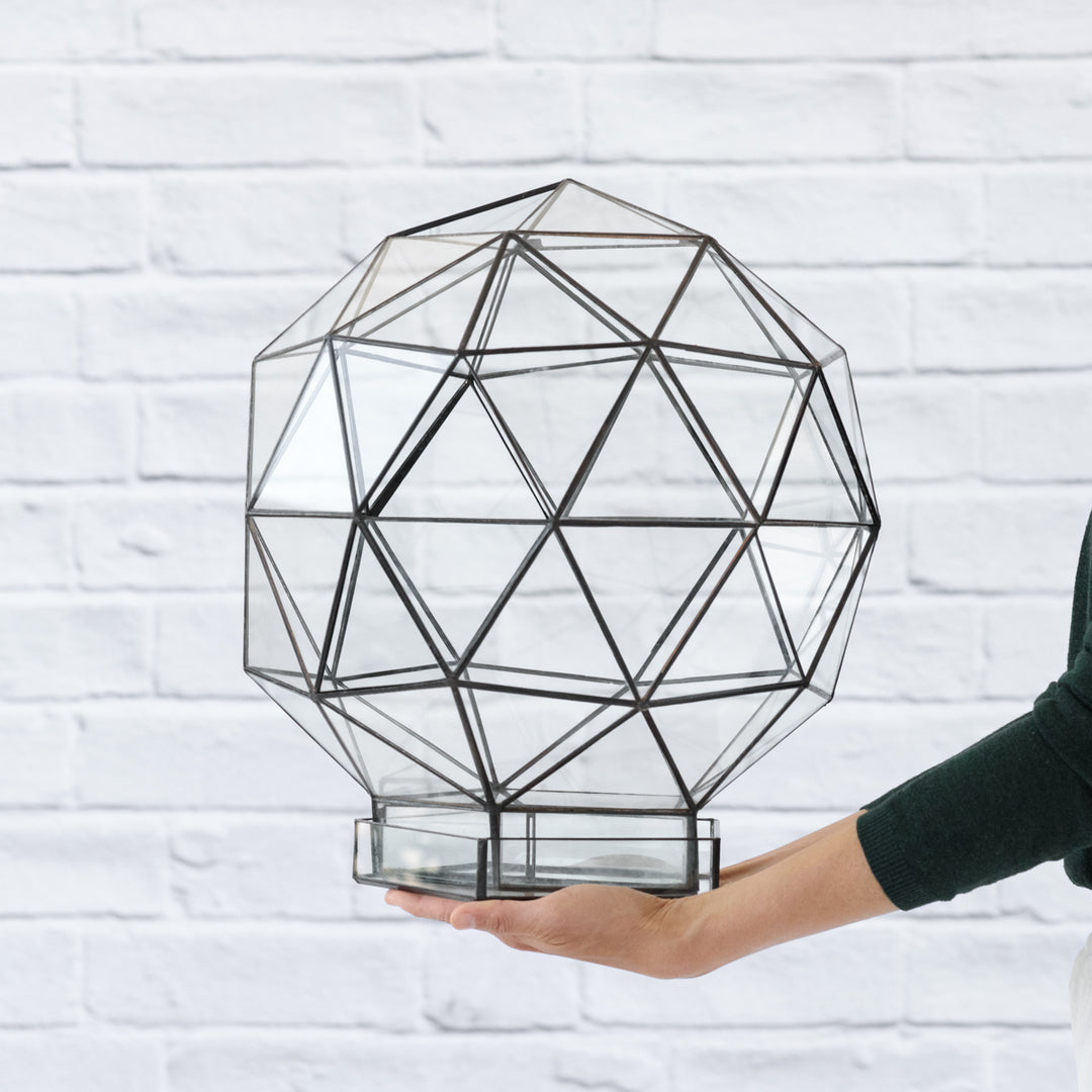 Terrarium - Biodome - Shop Online!