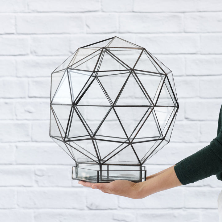 Terrarium - Biodome - Shop Online!