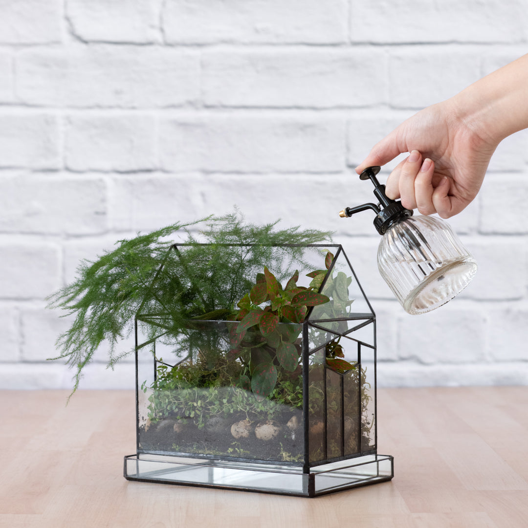 Terrarium - Deco House - Shop Online!