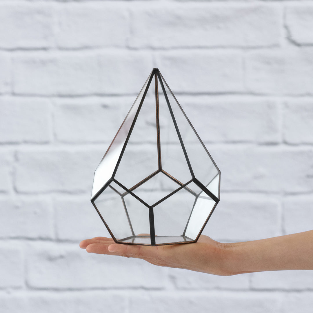 Terrarium - Pentagon - Shop Online!