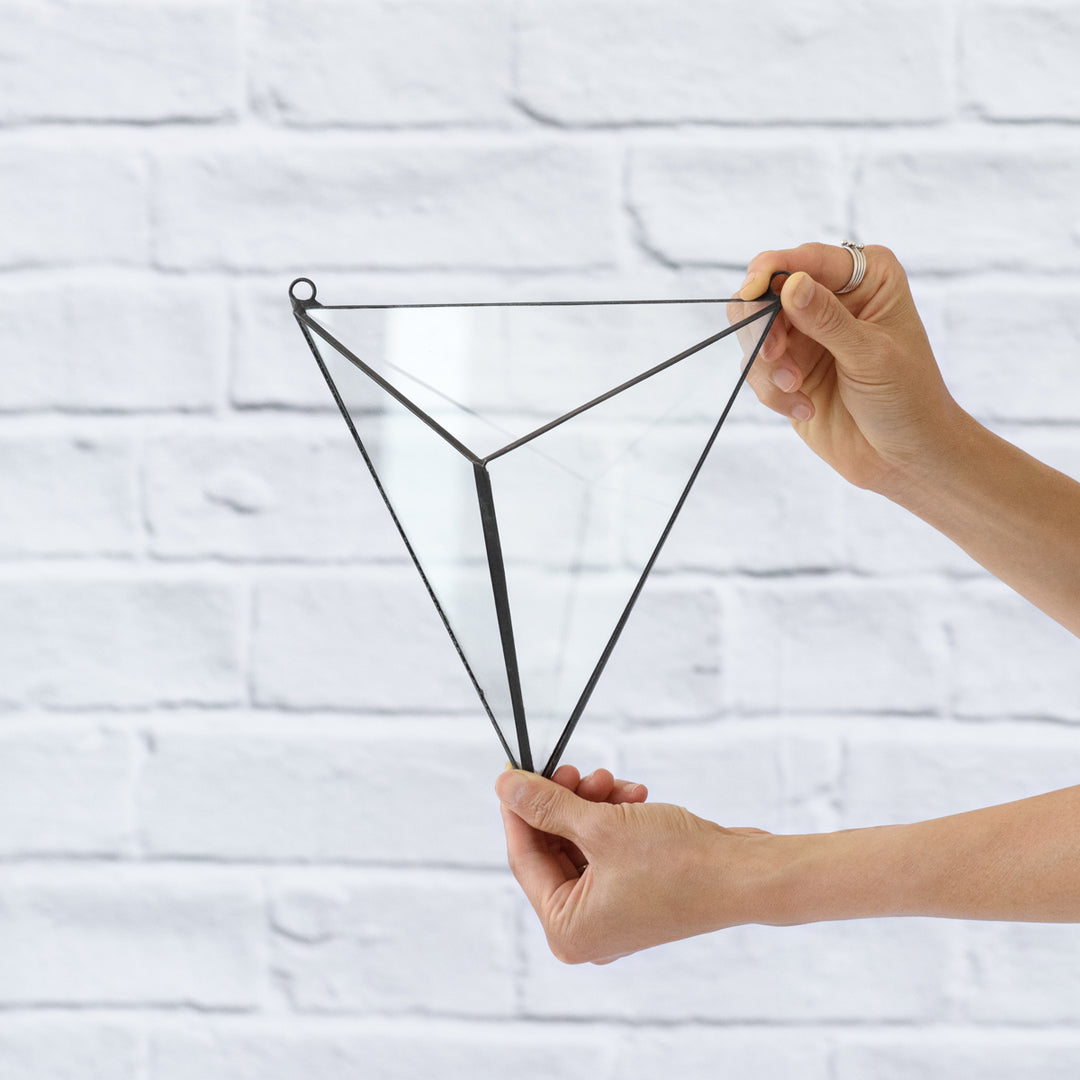 Wall Terrarium - 3D Triangle - Shop Online!