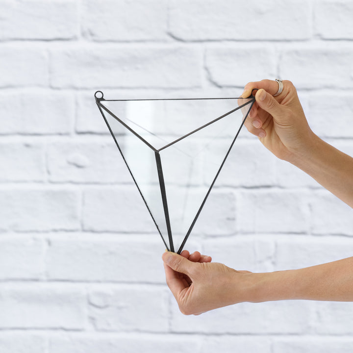 Wall Terrarium - 3D Triangle - Shop Online!