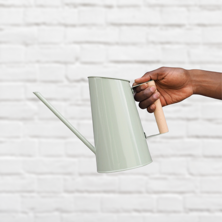 Watering Can - Shop Online!