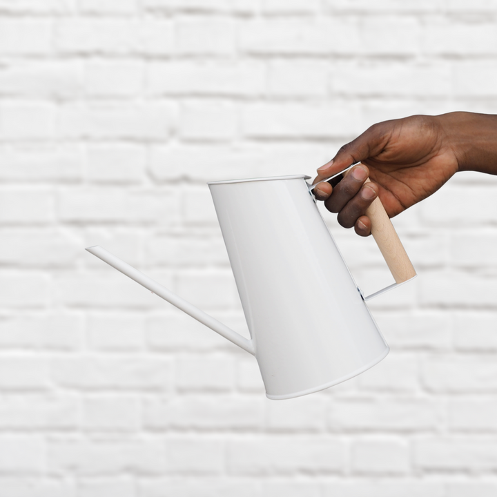 Watering Can - Shop Online!