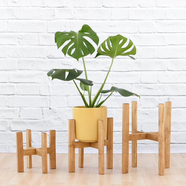 Wooden Plant Stand - Shop Online!