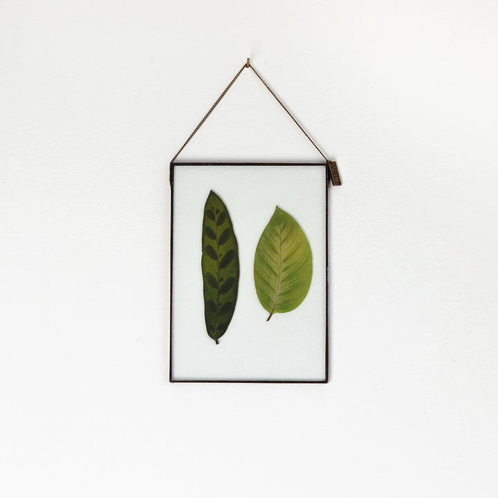 VELT Botanical Frame - Mixed Foliage - Shop Online!