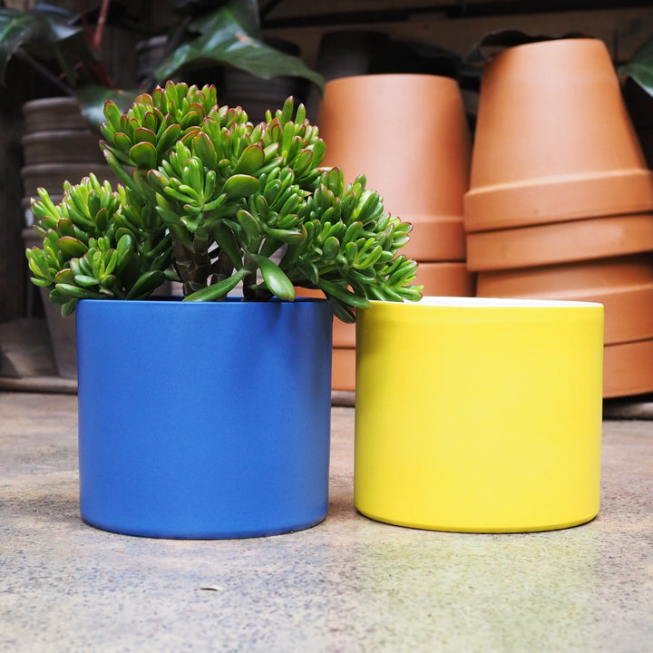 Emerson Pot - Matt Large - Shop Online!