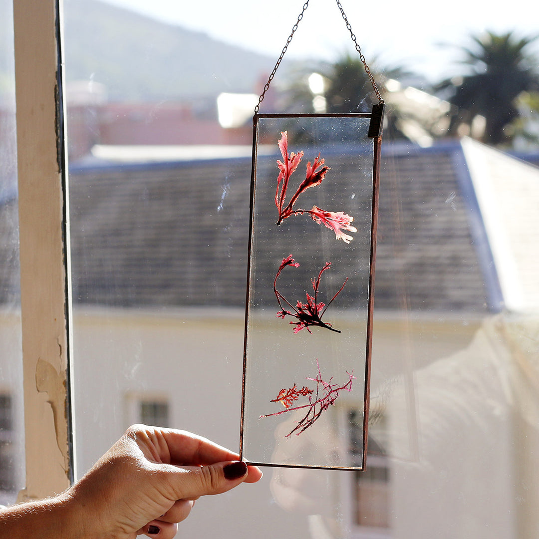 VELT Botanical Frame - Seaweeds - Shop Online!