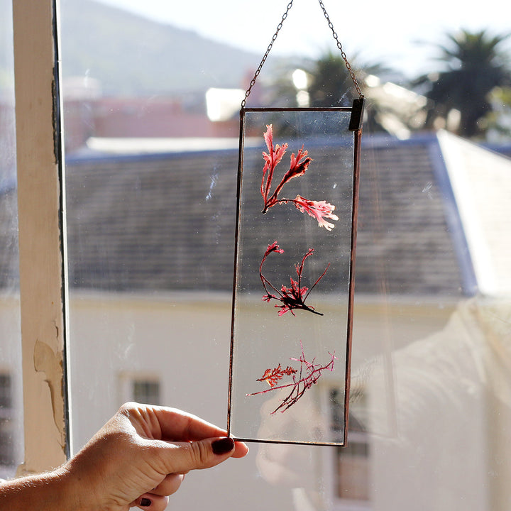 VELT Botanical Frame - Seaweeds - Shop Online!