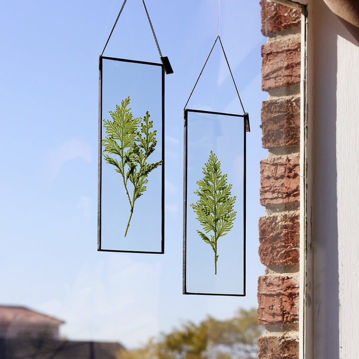VELT Botanical Frame - Ferns - Shop Online!