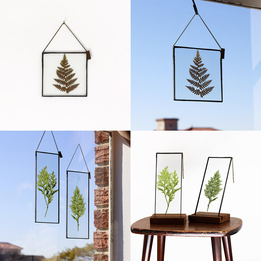 VELT Botanical Frame - Ferns - Shop Online!