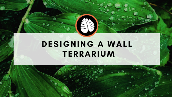 Designing a Wall Terrarium: Bringing Nature to Your Walls - Improve Your Plant Knowledge with Plantify!
