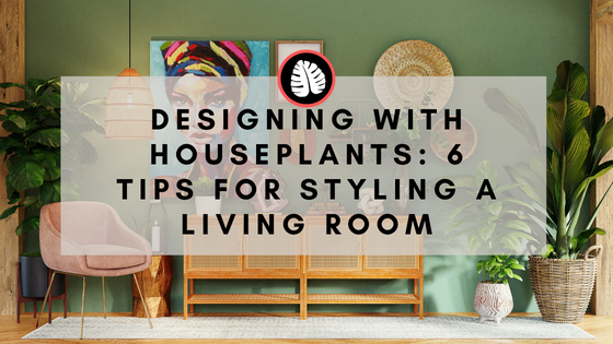Designing with Houseplants: 6 Top Tips for Styling a Living Room