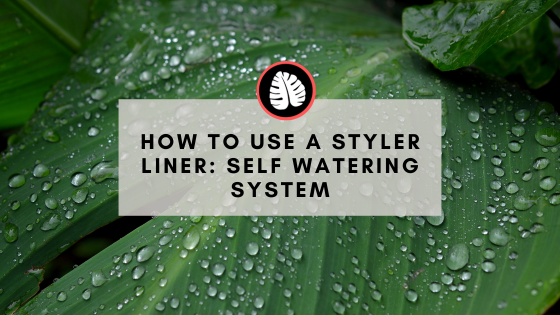 How to use a Styler Liner: Self Watering System