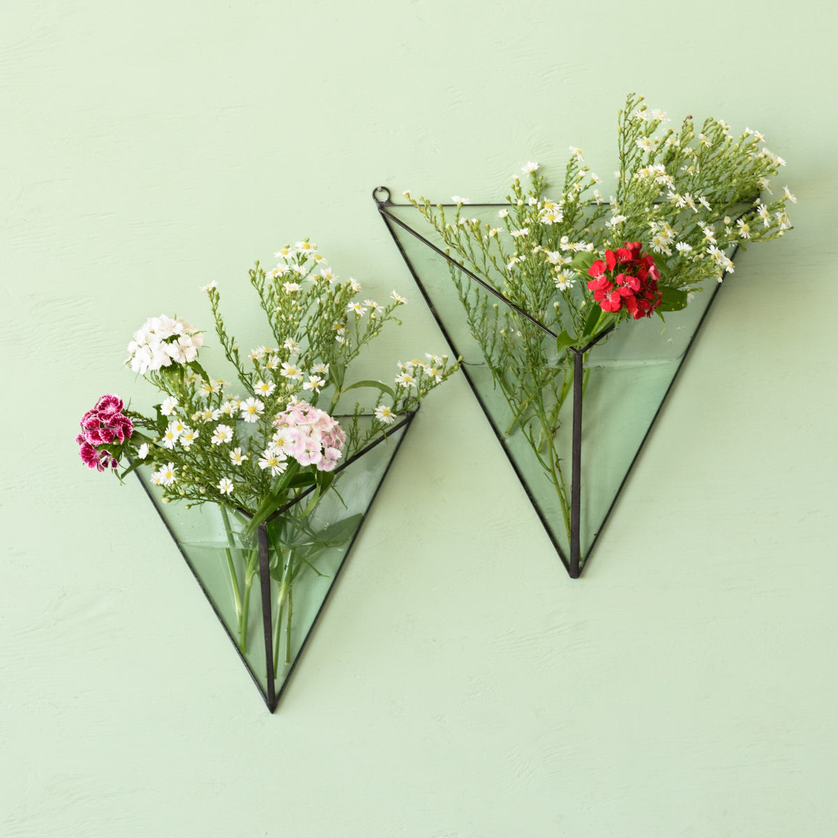 Wall Mounted Terrariums