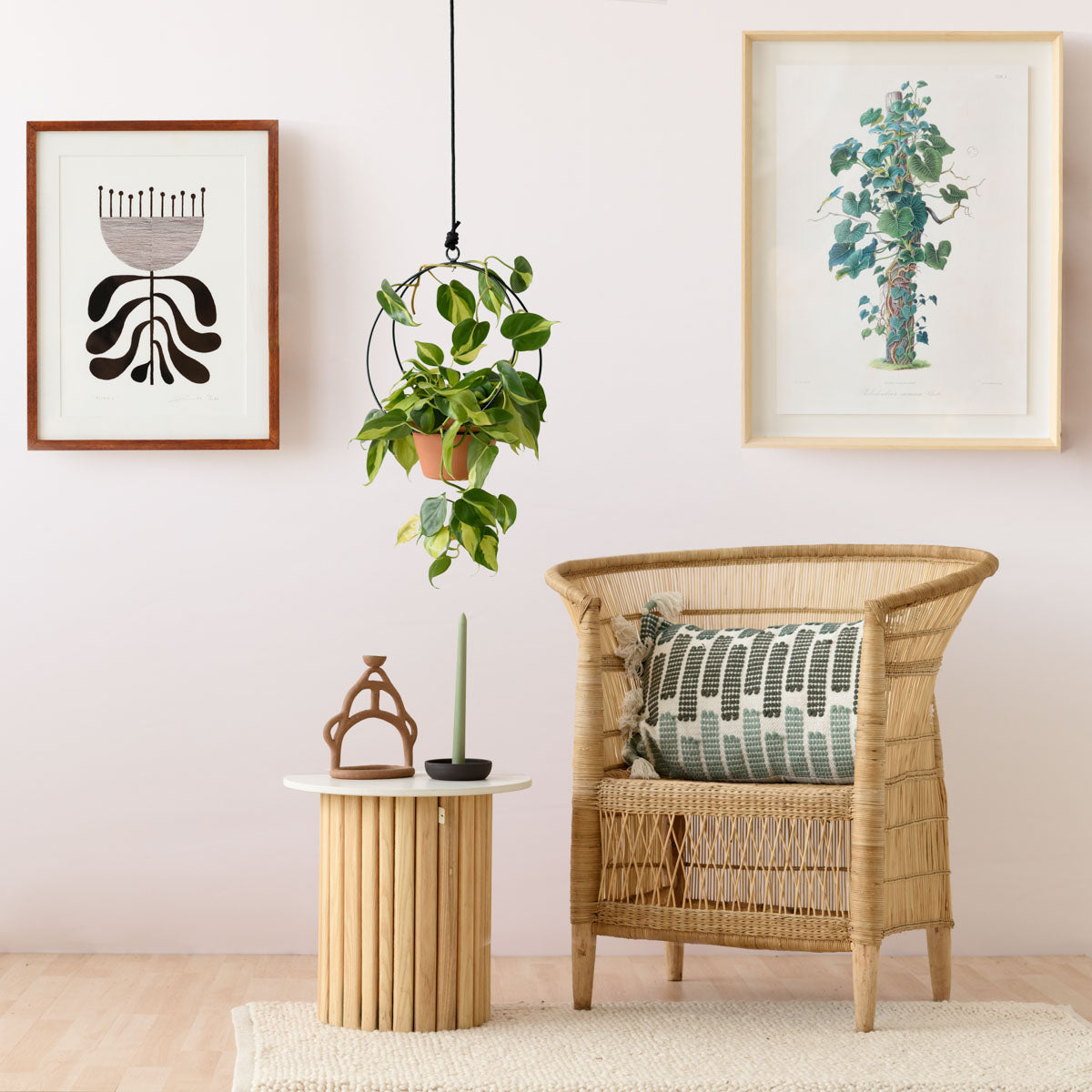 Andro Metal Hanger - Black | Indoor Plant