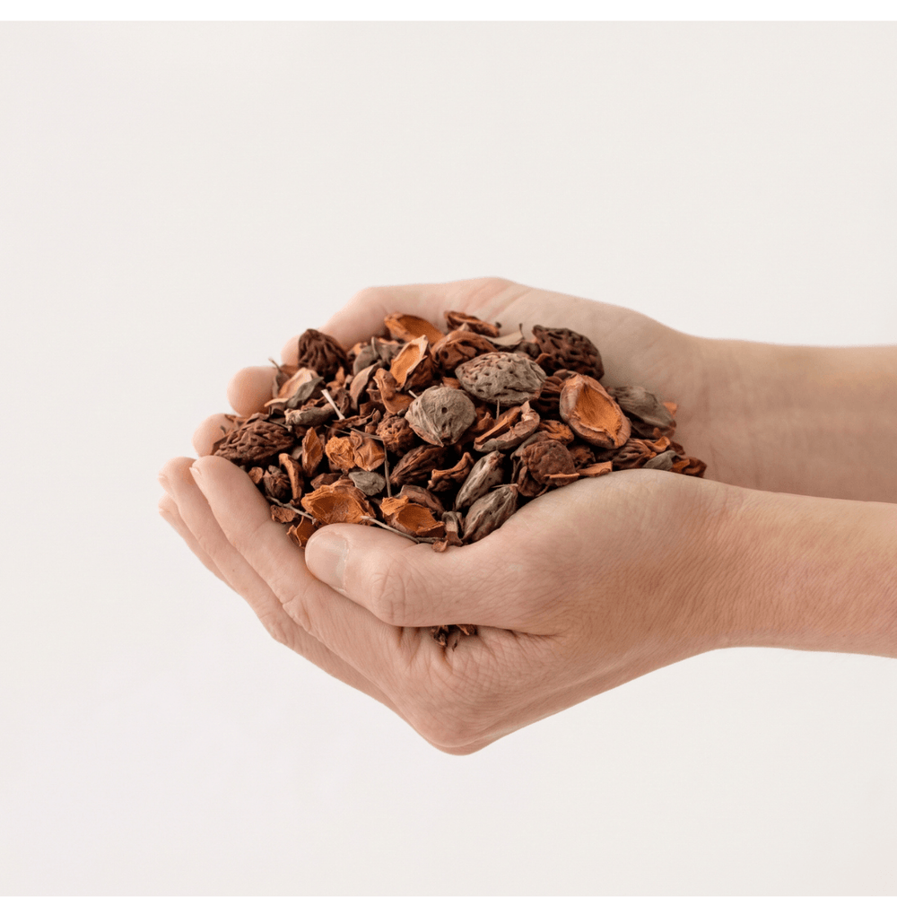 Hand holding a pile of Apricot Pips, a natural soil topper for plants to retain moisture and enhance pot aesthetics.