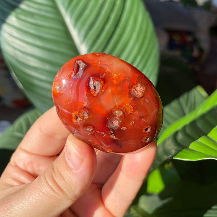 Carnelian Gallets - Polished Palm Stones - Shop Online!