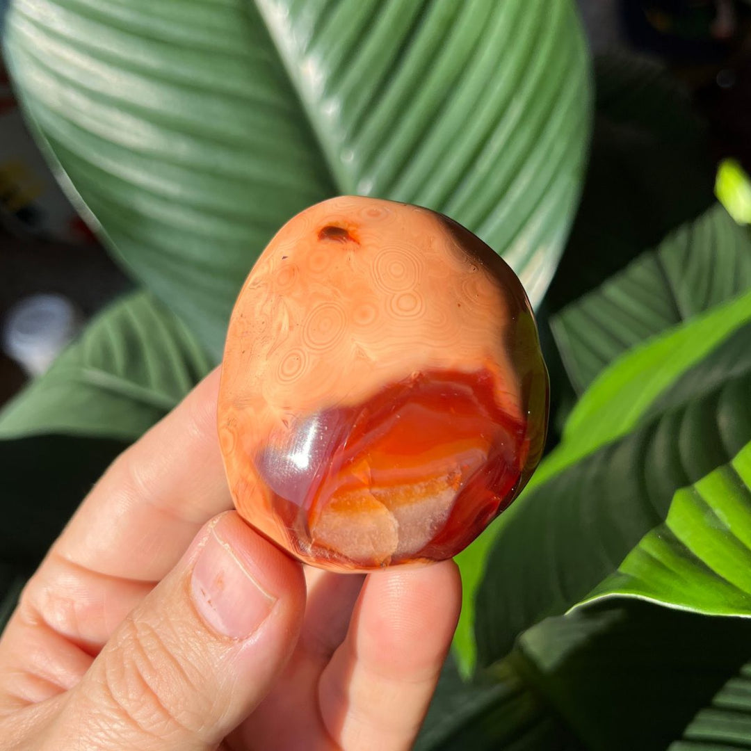 Carnelian Gallets - Polished Palm Stones - Shop Online!