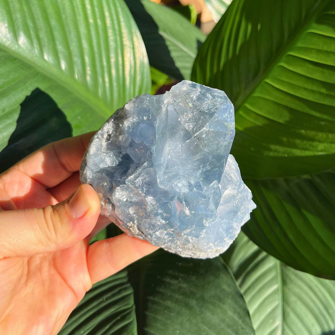 Celestite - Specimen - Shop Online!