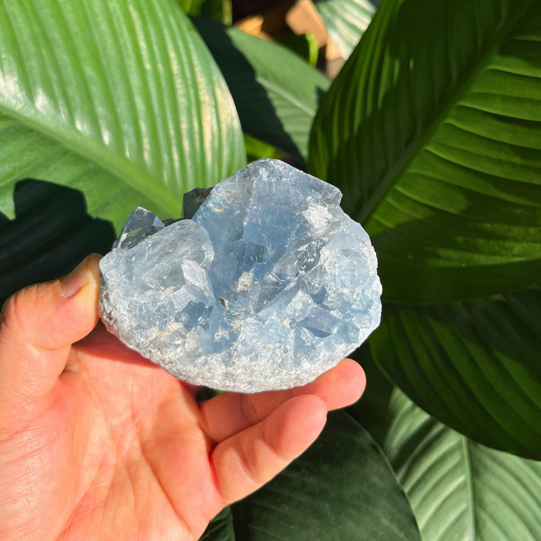 Celestite - Specimen - Shop Online!