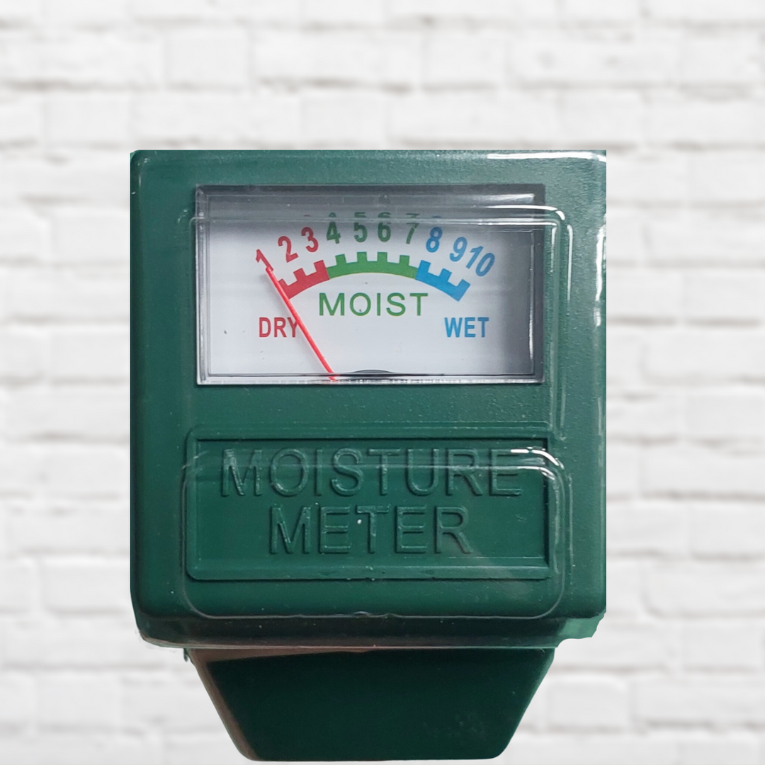 Moisture Meter - Shop Online!