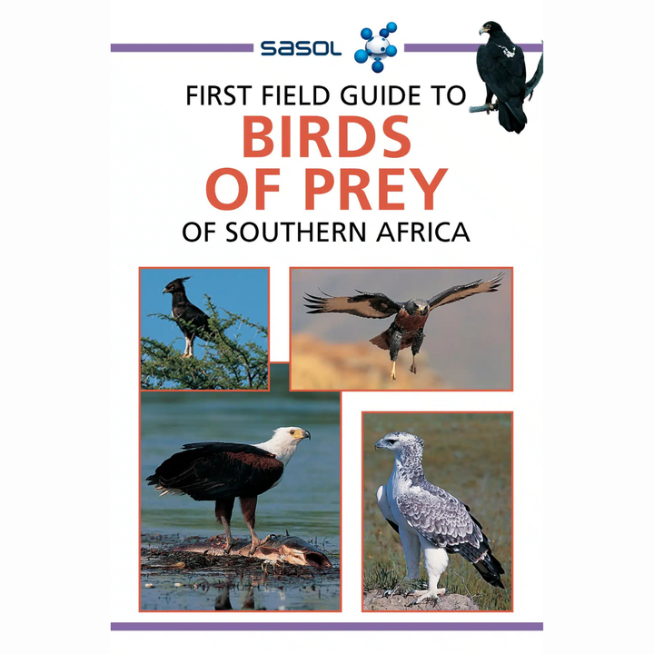 Book cover of &
