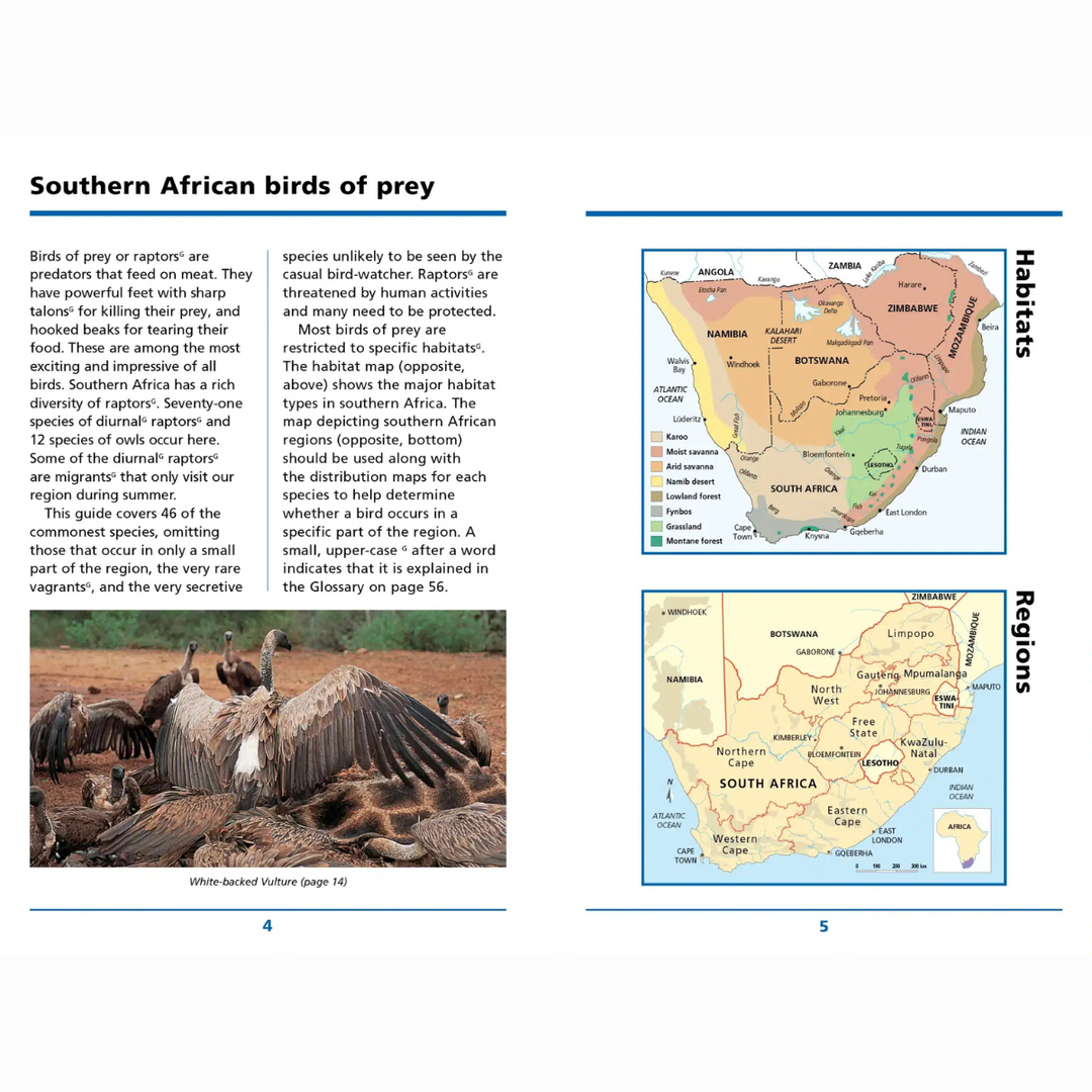 Book page about Southern African birds of prey with maps and text.