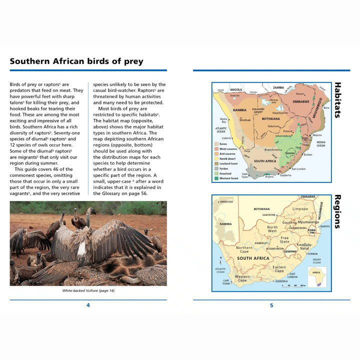 Book page about Southern African birds of prey with maps and text.