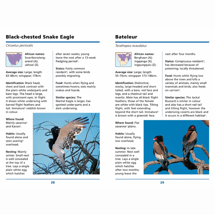 Two pages from a book or guide featuring information on Black-cheated Snake Eagle and Bateleur with images and text.