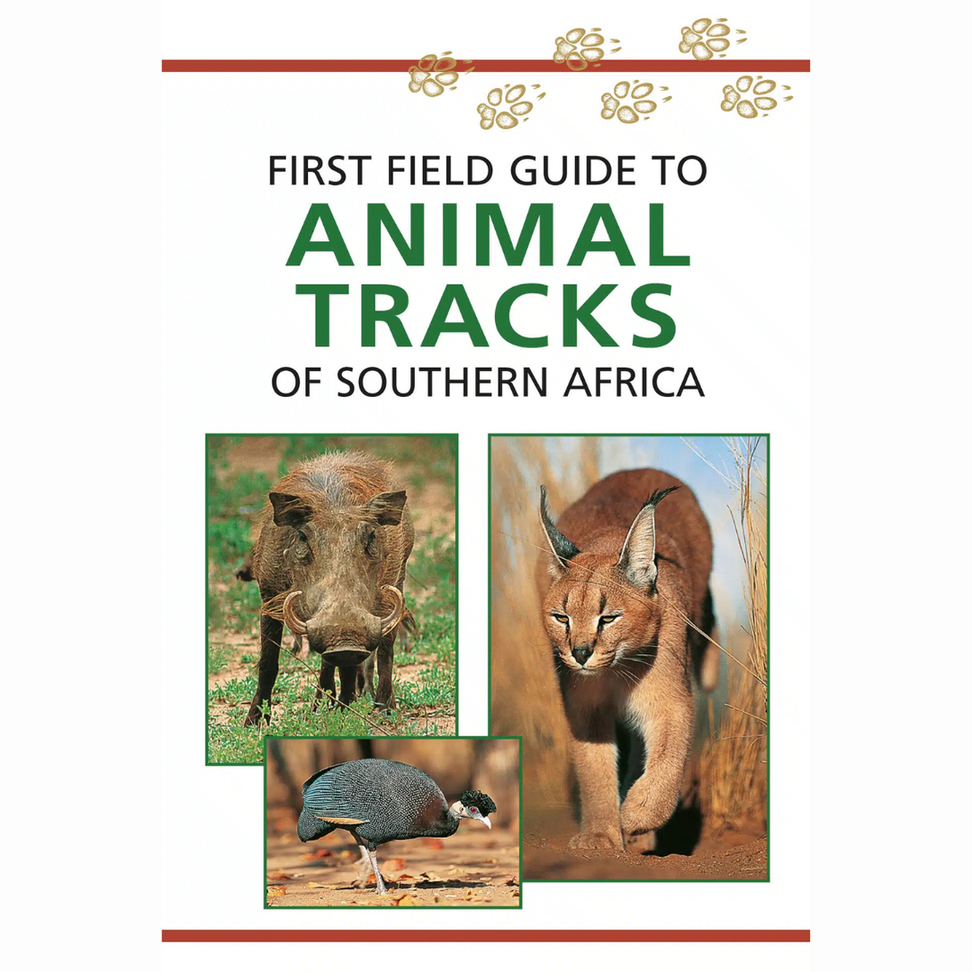 Book cover of 'First Field Guide to Animal Tracks of Southern Africa' with images of animals and text.