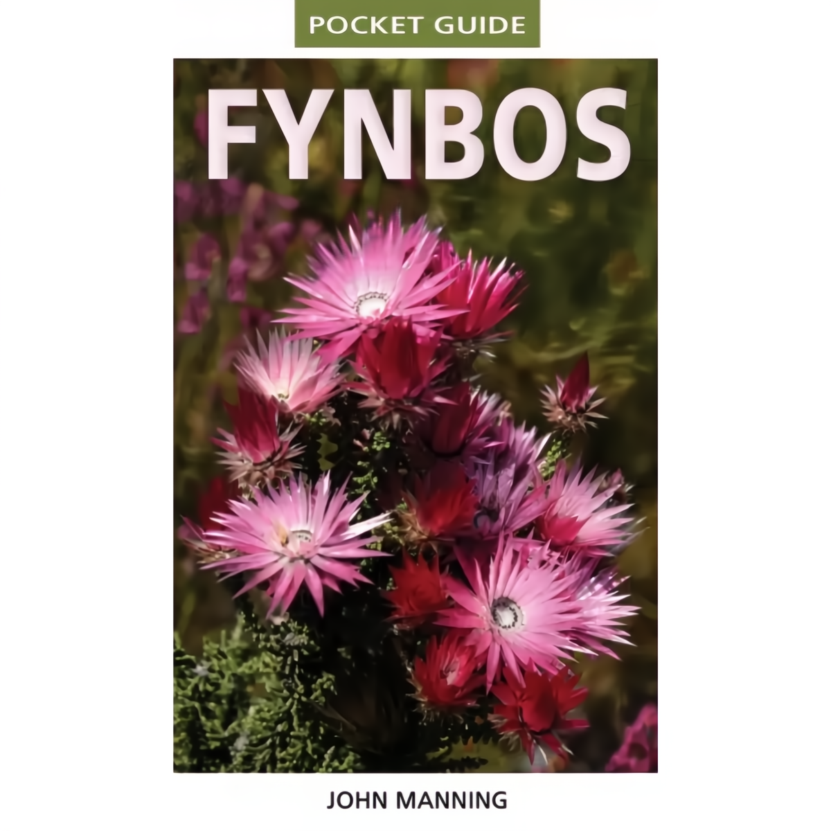 Pocket Guide to Fynbos Plantify - Urban Nursery