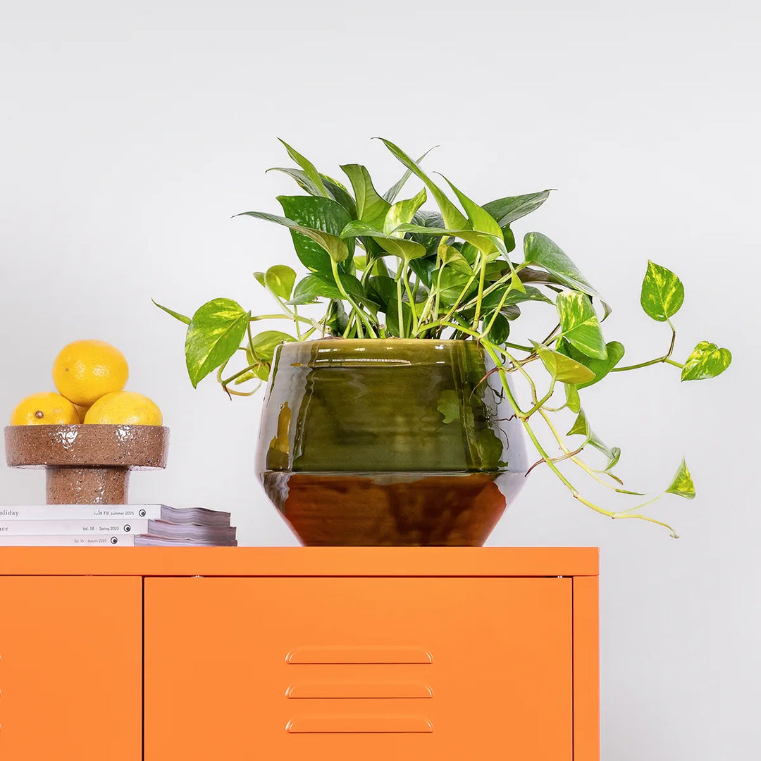 Pogo Planter - Vintage Green
