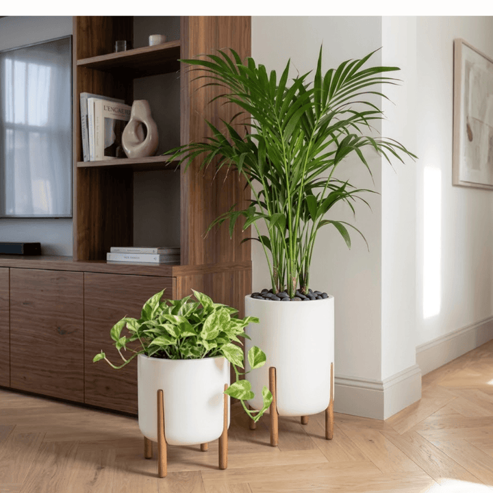 Hygge Planter - Japi - White in a modern living room with greenery, showcasing Scandinavian style and design.