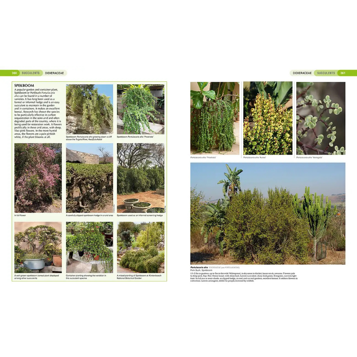 Gardening book page with images of south african indigenousplants and garden scenes.