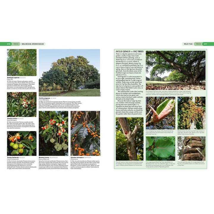 Page from a book featuring images of south african indigenous trees and plants 