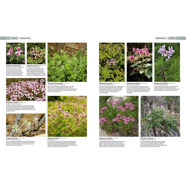 Page from a book or magazine featuring images of pink flowers and green plants with text.