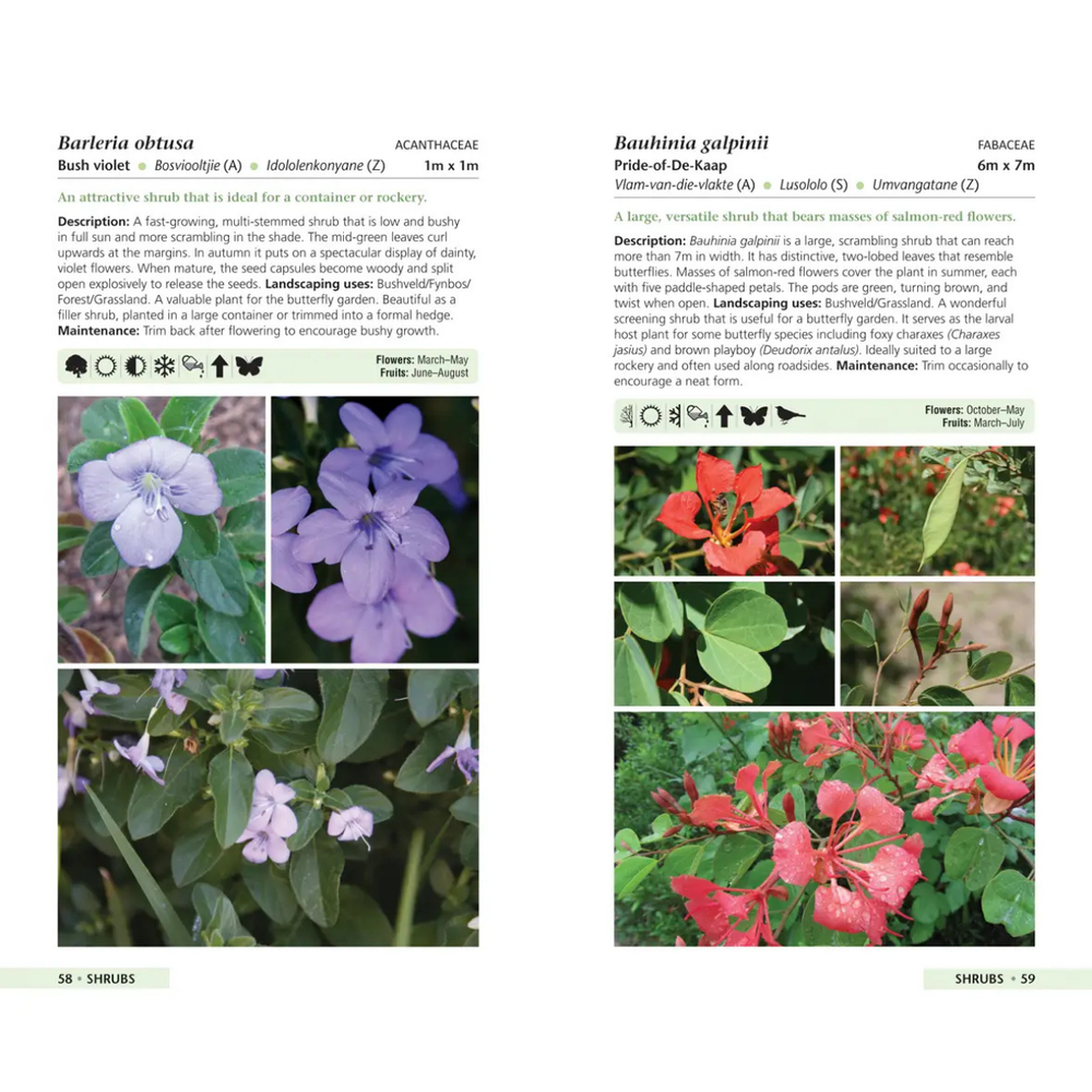 Gardening guide with Barleria obtusa and Bauhinia galpinii plants, featuring images and descriptions.