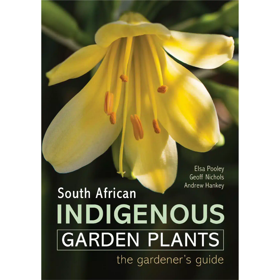 Book cover of 'South African Indigenous Garden Plants' with a yellow flower on a white background
