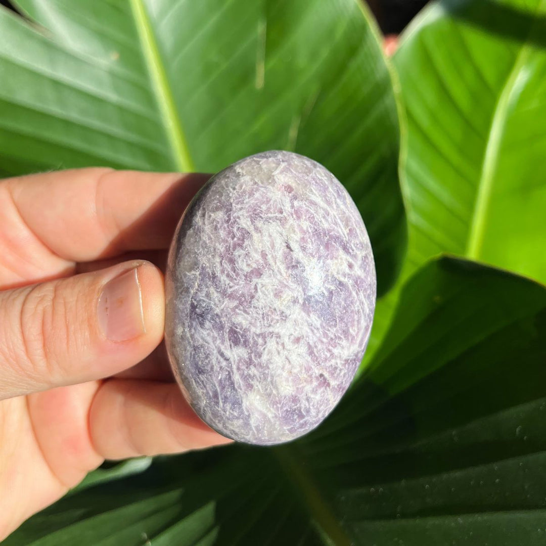 Lepidolite Gallets - Polished Palm Stones - Shop Online!