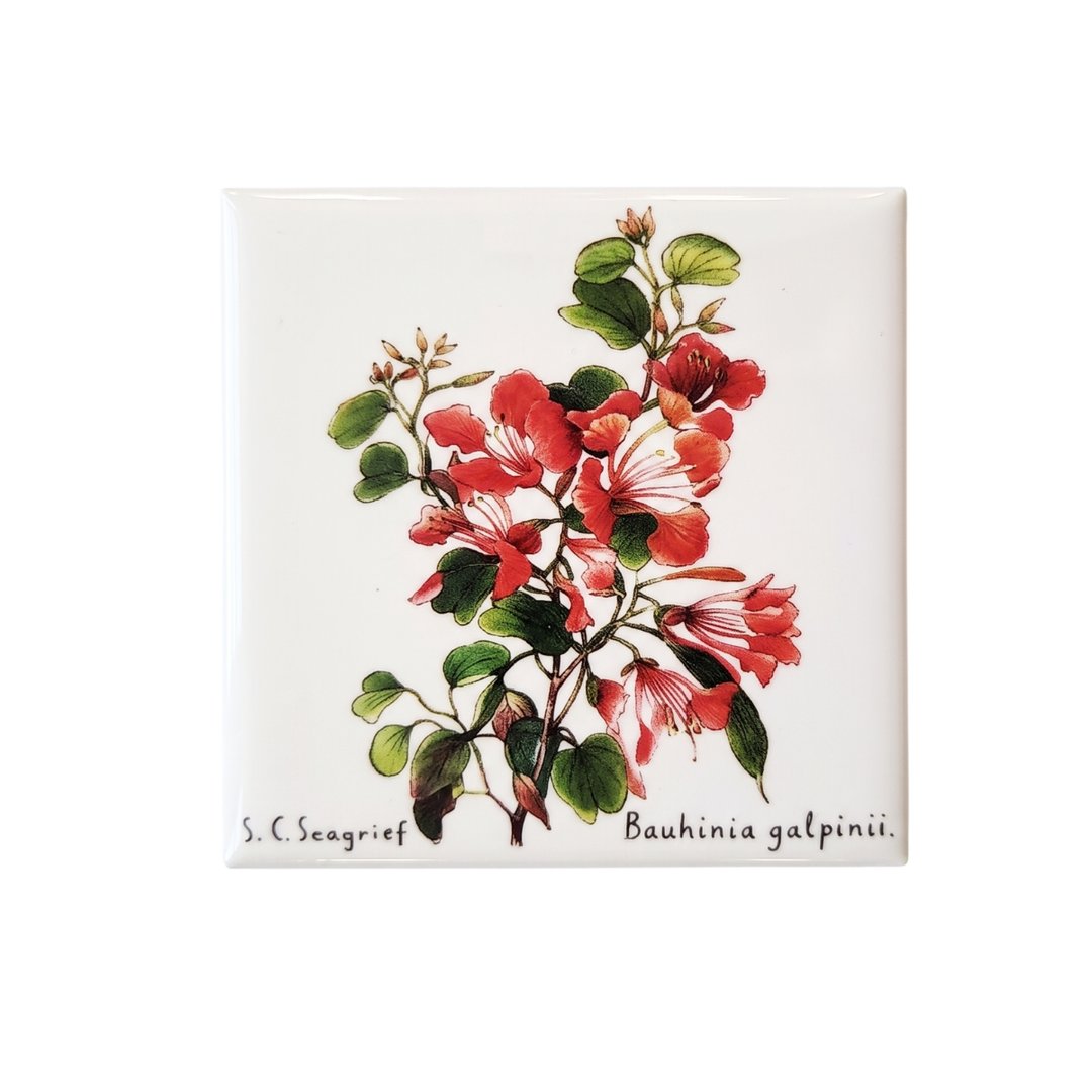 Wildflower Magnets - Singles
