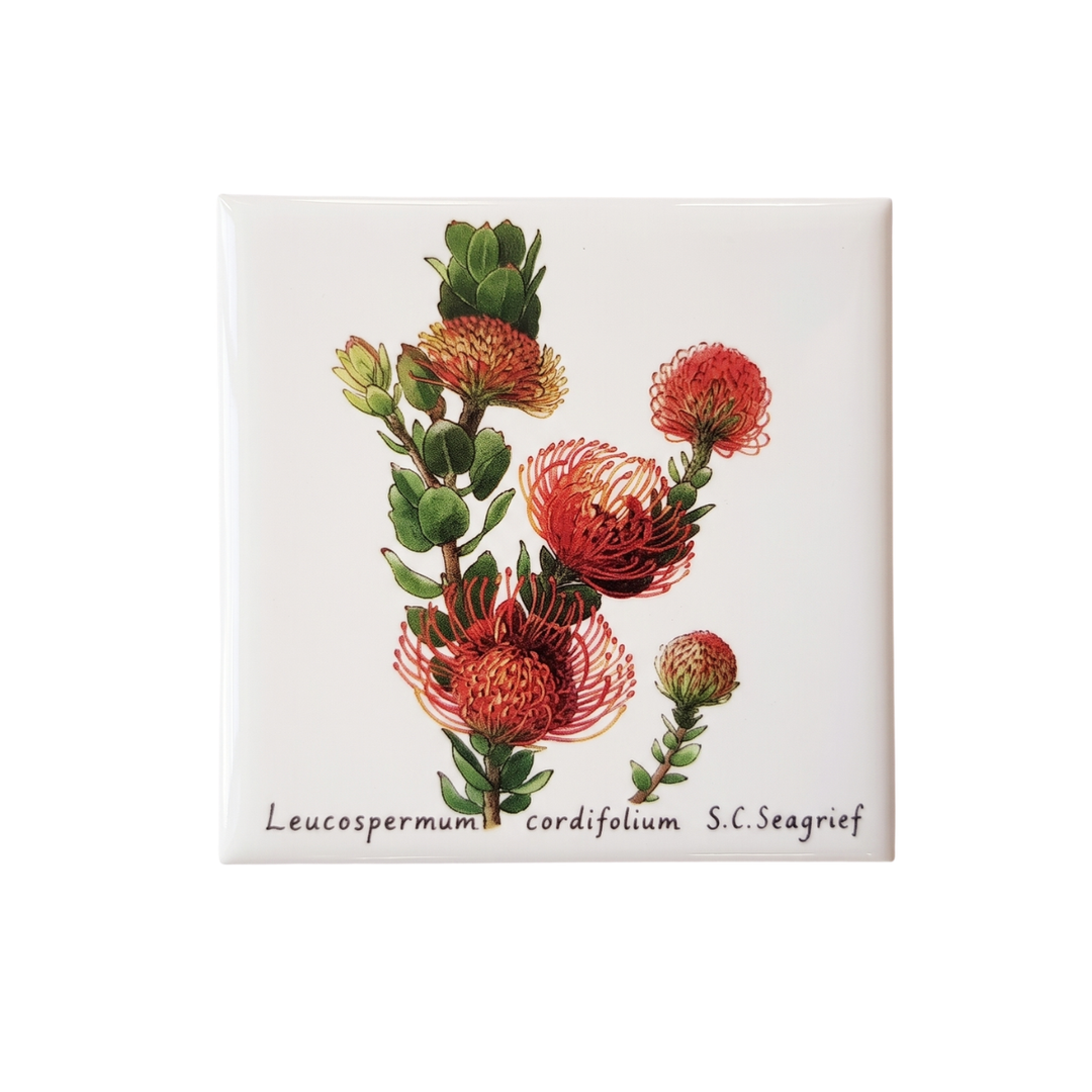 Wildflower Magnets - Set of 5