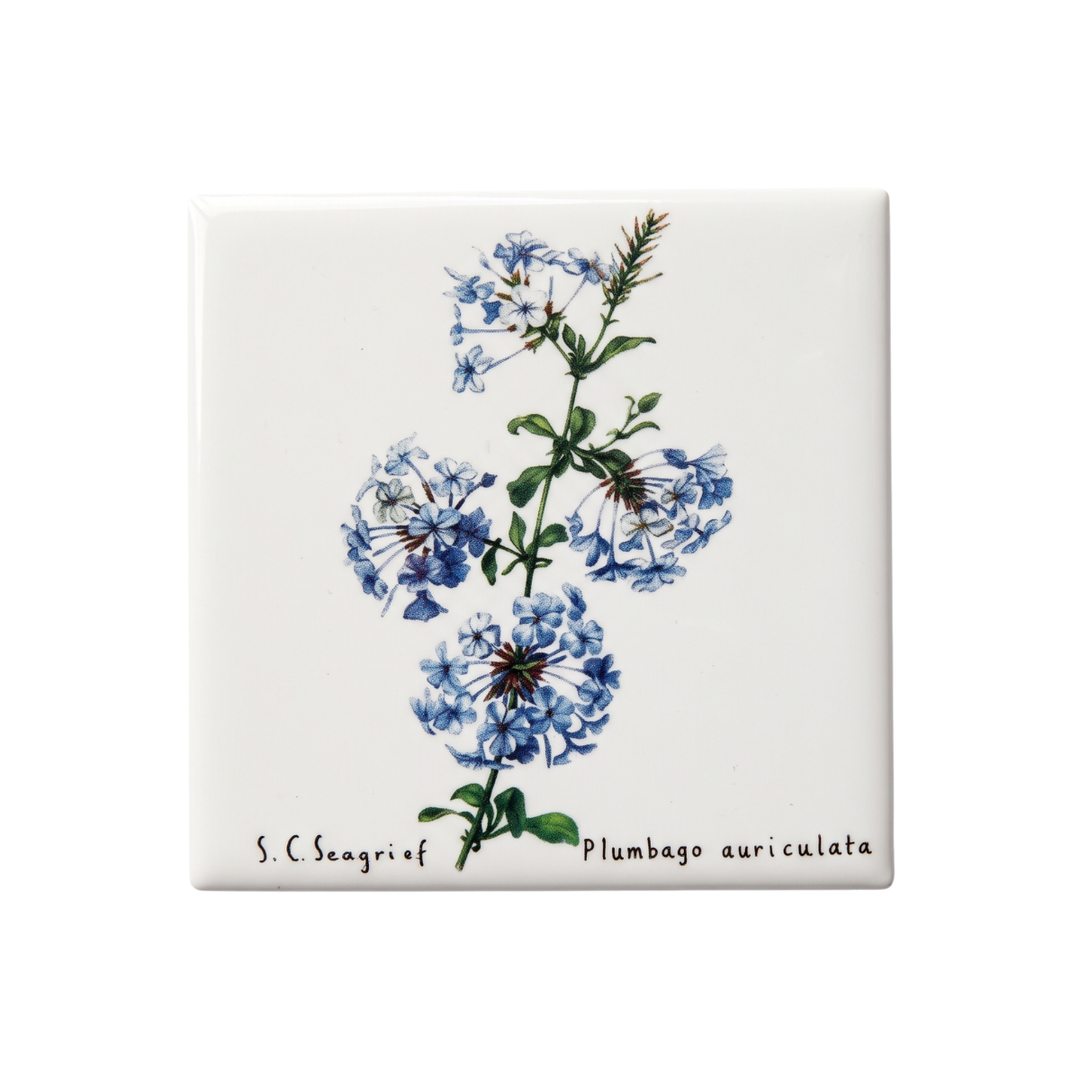 Wildflower Magnets - Singles