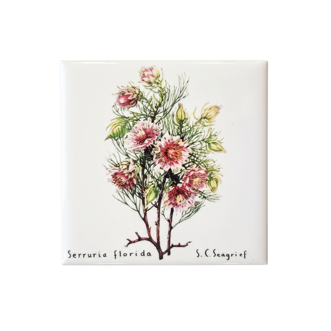 Wildflower Magnets - Singles