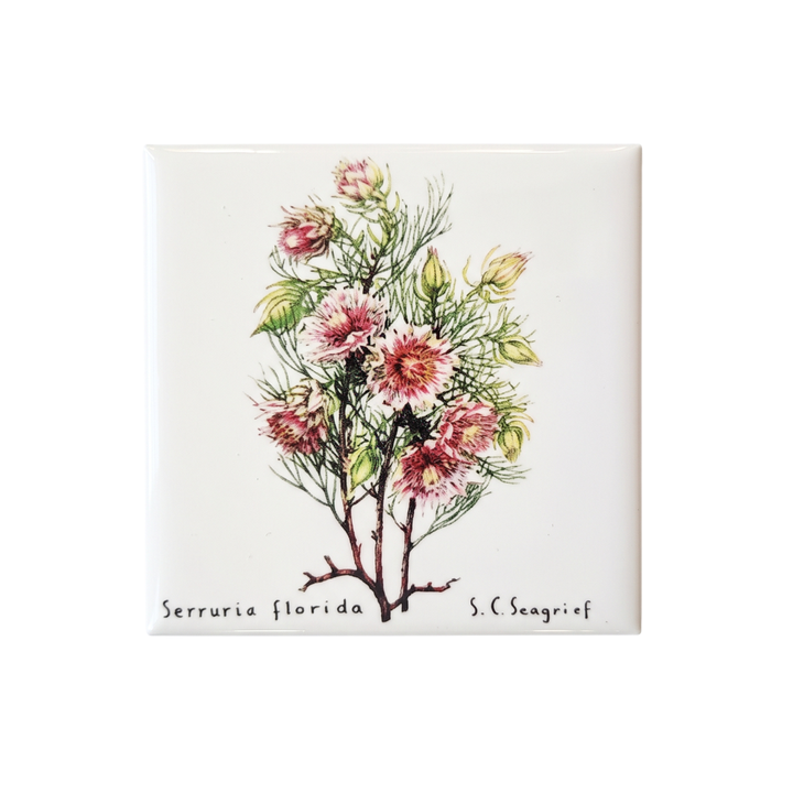 Wildflower Magnets - Singles