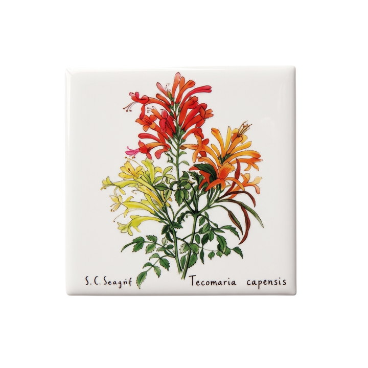 Wildflower Magnets - Singles