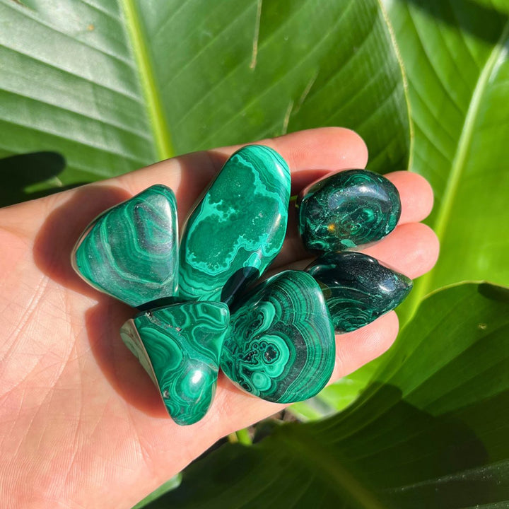 Malachite Tumbled Stone - Shop Online!