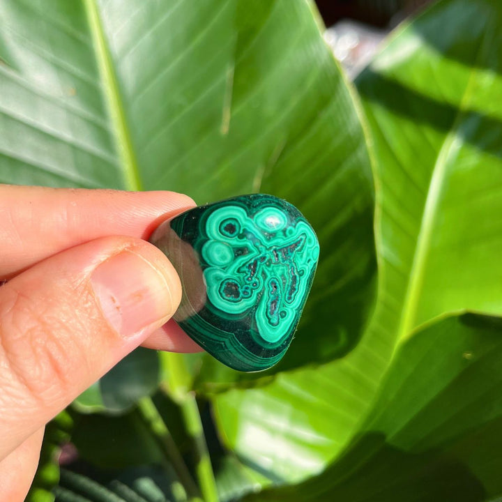 Malachite Tumbled Stone - Shop Online!